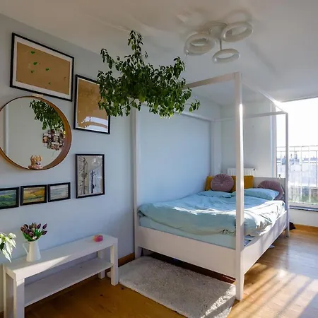 2 Poziomowy -146 M2 Poznań