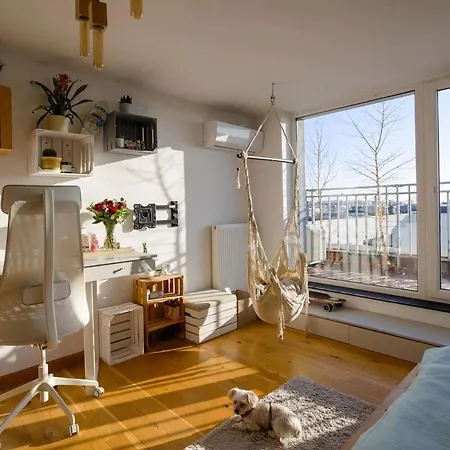 2 Poziomowy -146 M2 *