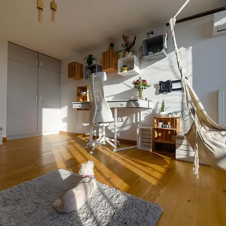 2 Poziomowy -146 M2 *